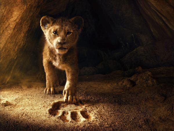 Bild 1 von 11: Der König der Löwen - Artwork