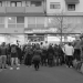 Das Deutsche Volk