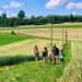 Preiswert, nützlich, gut?