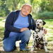 Der Hundeprofi - Rütters Team