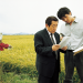 Memories of Murder