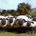 Shaun das Schaf
