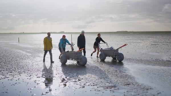 Bild 1 von 6: Niklas Kolorz begleitet Forschende ins Watt bei den nordfriesischen Halligen. Mit Sonartechnik spüren sie Überreste der versunkenen Siedlung Rungholt auf.