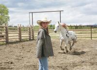 Heartland - Paradies für Pferde