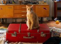 Geschichten von überall