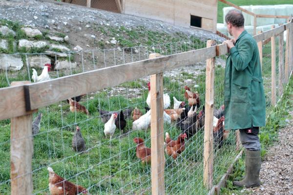 Bild 1 von 25: Im Bild: Schwabhof, Jungbauer Rupert Viehhauser.