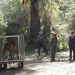 The Mentalist