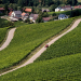 Treckerfahrer dürfen das!