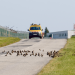 Die Tiere von der Landebahn