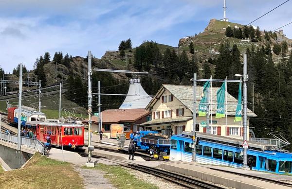Bild 1 von 4: In Rigi Staffel teilt sich die Strecke. Die roten Züge fahren nach Vitznau, die blauen nach Goldau.