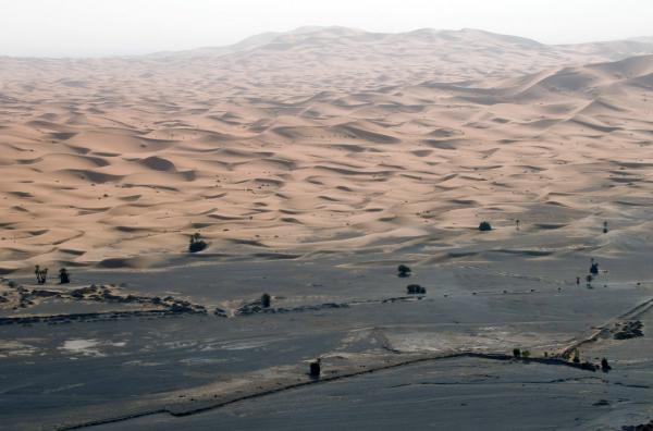 Bild 1 von 7: Mit Tageshöchsttemperaturen von mehr als 50 Grad gehört die Sahara zu den heißesten und trockensten Orten der Erde.