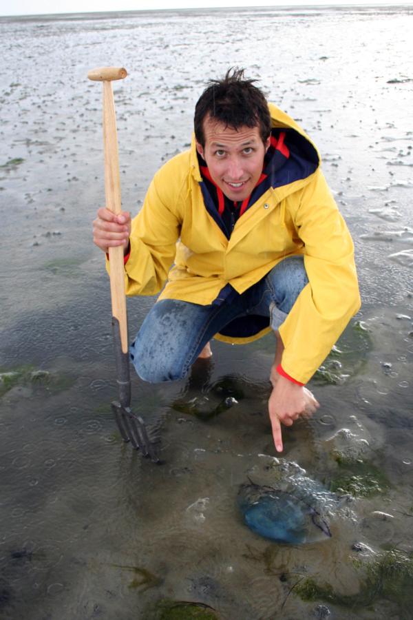 Bild 1 von 11: Willi bei einer Wattwanderung vor Hallig Hooge mit einer Qualle. Heute erfährt er Einiges über Ebbe und Flut.