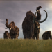 Sternstunden der Evolution
