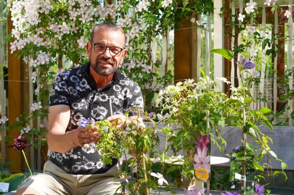 Bild 1 von 18: Im Bild: Karl Ploberger widmet sich der Clematis, die sonnige Blütenpracht und schattige Wurzeln bevorzugt. Gut durchlässige Erde, Drainageschichten und ausreichend Feuchtigkeit ohne Staunässe sind entscheidend.