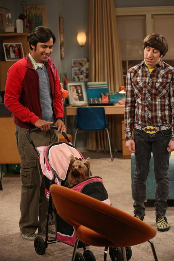 Bild 1 von 8: Raj (Kunal Nayyar, l.) muss übers Wochenende arbeiten und bittet Howard (Simon Helberg, r.), sich solange um sein Hündchen Cinnamon zu kümmern. Obwohl Howard zunächst nicht davon angetan ist, zeigt Bernadette schon bald mütterliche Gefühle - und schon sprechen sie über ihre Familienplanung. Aber dann läuft ihnen Cinnamon weg ...