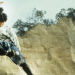 Ninja Wars