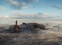 Enthüllt: Geheimnisse der Meere