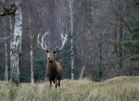 Nationalparks, die Sie kennen sollten