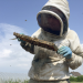 Der Wanderimker - Bienen für die Bauern