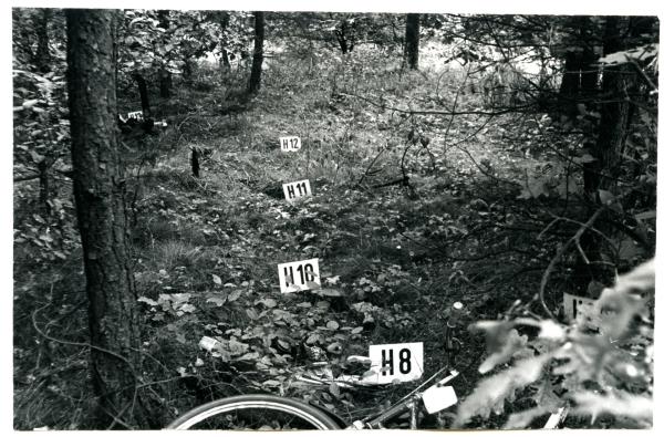 Bild 1 von 1: Die Spurensicherung dokumentiert am Tatort die Spuren im Mordfall Anneliese K.