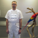 Der Blick der toten Tiere