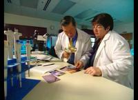 Medical Detectives - Geheimnisse der Gerichtsmedizin