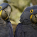 Abenteuer Wildnis