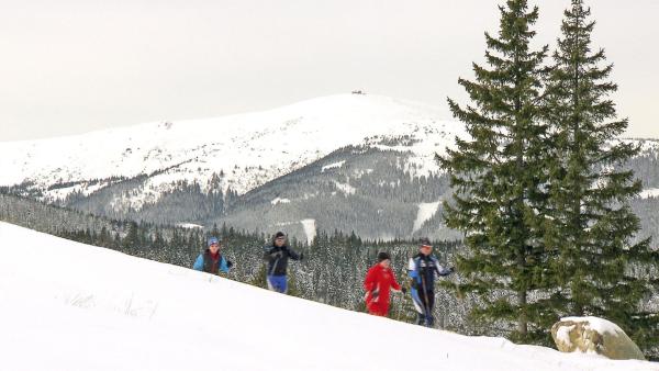 Bild 1 von 9: Erlebnis Österreich