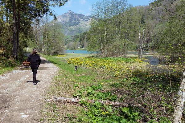 Bild 1 von 4: Ziegenbäuerin Rebecca ist mit ihrem Hund auf der Suche nach Bärlauch in den französischen Savoyen: Damit wird  sie ihren Käse verfeinern!