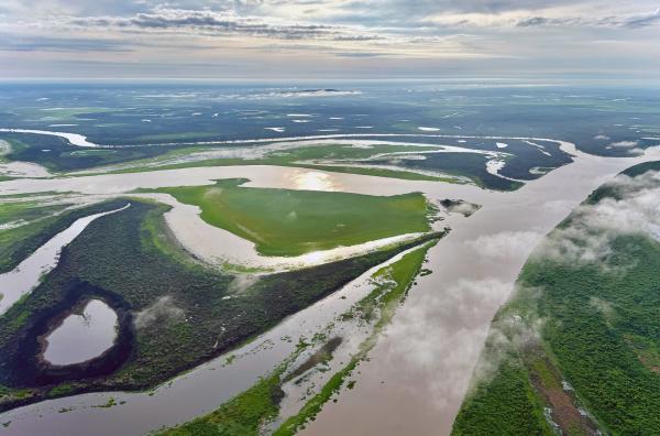 Bild 1 von 3: Der Paraguai-Mirim und seine Umgebung sind für ihr außergewöhnlich klares und reines Wasser bekannt.