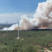 Deutschlands Wald im Wandel