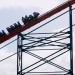 Science of Thrills