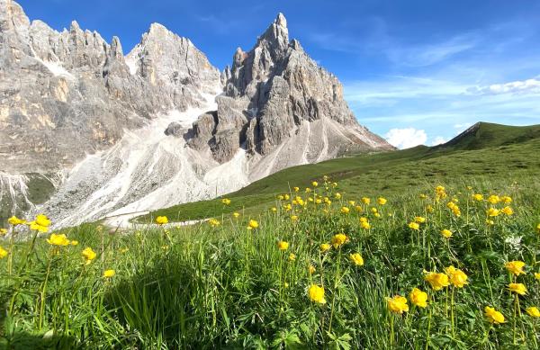 Bild 1 von 4: Frühling im Naturpark Paneveggio Pale di San Martino.