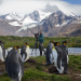Insel der Pinguine - Südgeorgien