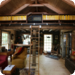 Building Wild - Wohnen in der Wildnis