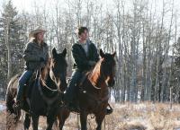 Heartland - Paradies für Pferde