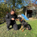 Schweizer Hundegeschichten: Laufhund Lilly und die Appenzeller
