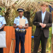 Death in Paradise