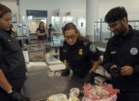 Airport Security USA