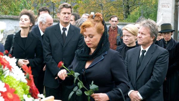 Bild 1 von 1: .