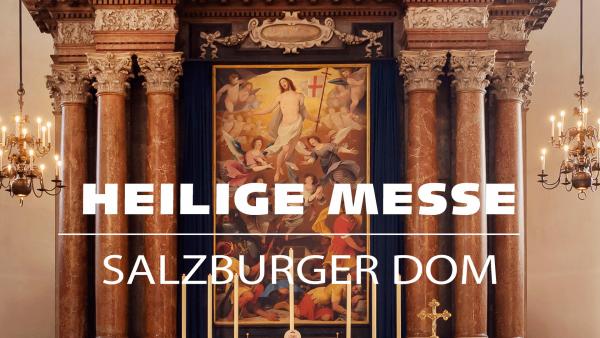 Bild 1 von 2: .