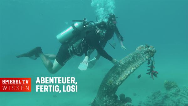 Abenteuer, fertig, los!