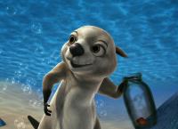 Tauch, Timmy, Tauch!