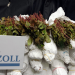 Der Zoll - Auf Schmugglerjagd (1)