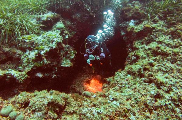 Bild 1 von 4: Rund um die Insel San Pietro gibt es unter Wasser Rinnen, Felswände und Höhlen: eine spannende Unterwasserwelt für Taucher.