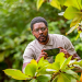 Death in Paradise