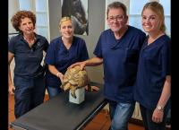 Praxis Dr. Dreesen - Ein Hof für Tiere