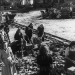 Wir Deutschen: Vom Reich zur Republik 1945-2005 (1)