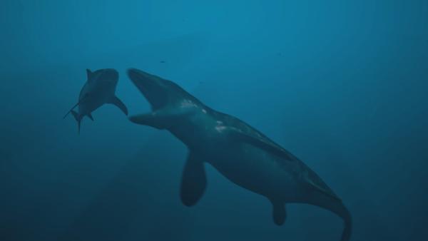 Bild 1 von 5: Der Kopf eines Mosasauriers war größer sein als ein ganzer Hai - eines seiner bevorzugten Beutetiere.