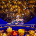 Cirque du Soleil - LUZIA